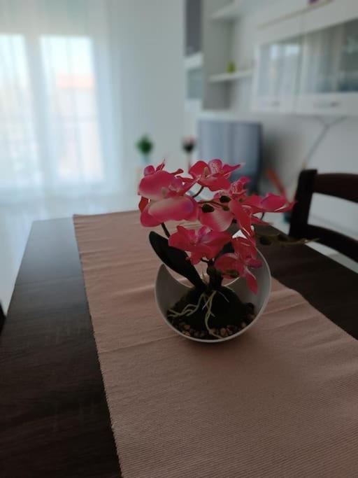 Apartment Flori's